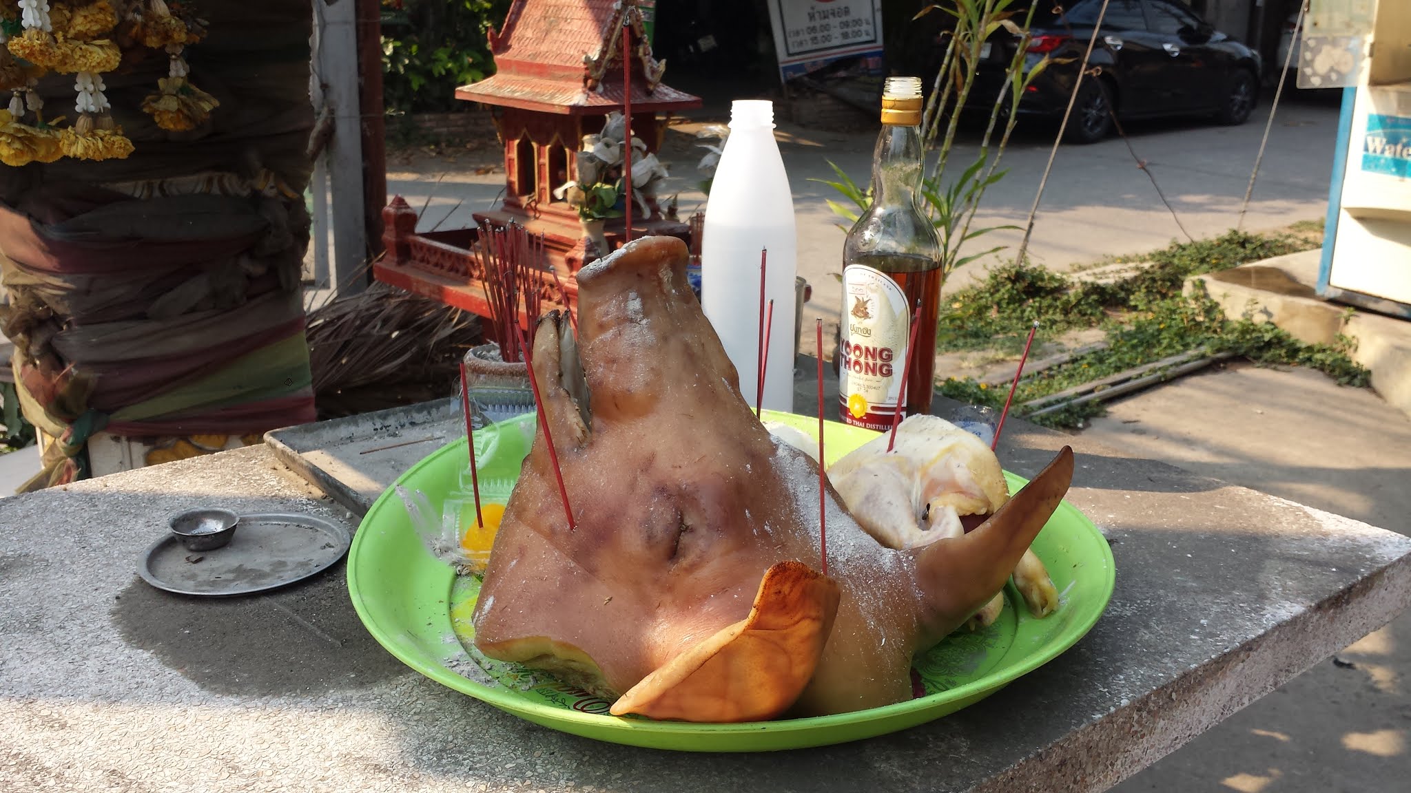 Choking in Chiang Mai, Covid-19, Pig’s Head and Liquor